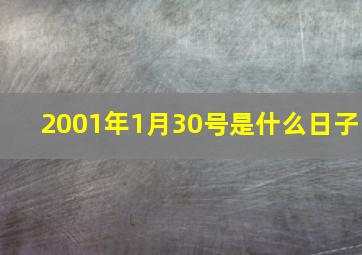 2001年1月30号是什么日子