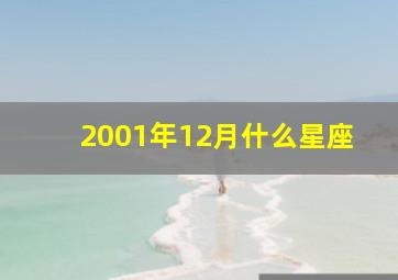 2001年12月什么星座