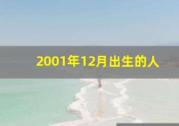 2001年12月出生的人