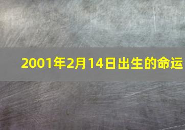 2001年2月14日出生的命运