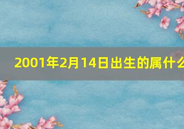 2001年2月14日出生的属什么