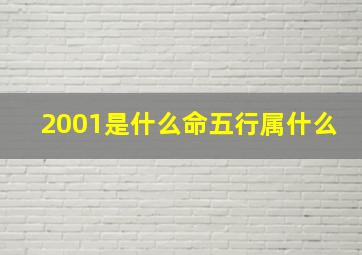 2001是什么命五行属什么