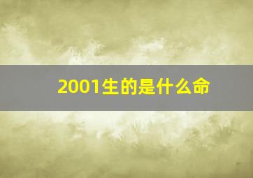 2001生的是什么命