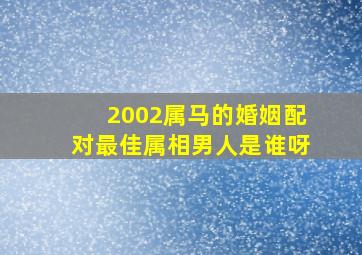 2002属马的婚姻配对最佳属相男人是谁呀