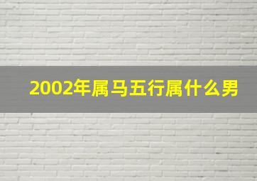 2002年属马五行属什么男