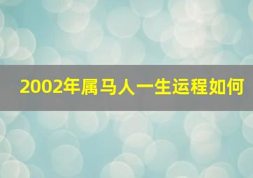 2002年属马人一生运程如何