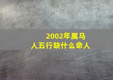 2002年属马人五行缺什么命人