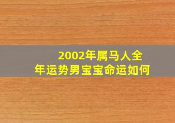 2002年属马人全年运势男宝宝命运如何