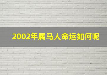 2002年属马人命运如何呢