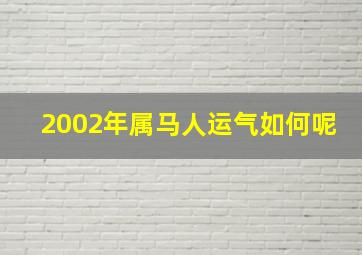 2002年属马人运气如何呢