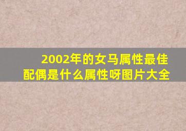 2002年的女马属性最佳配偶是什么属性呀图片大全