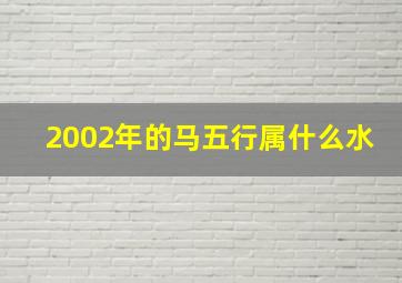 2002年的马五行属什么水