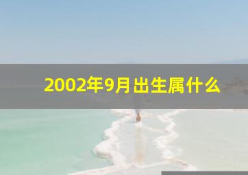 2002年9月出生属什么