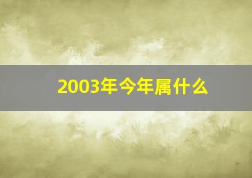 2003年今年属什么