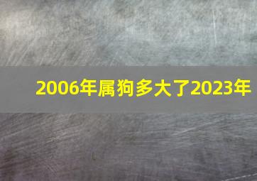 2006年属狗多大了2023年