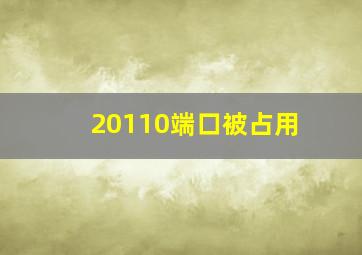 20110端口被占用