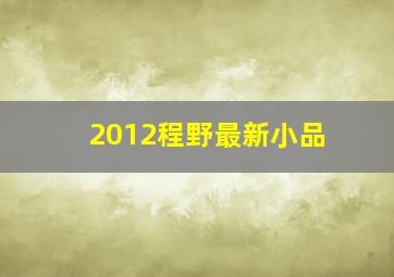 2012程野最新小品