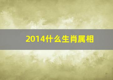 2014什么生肖属相