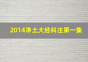 2014净土大经科注第一集