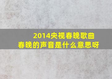 2014央视春晚歌曲春晚的声音是什么意思呀