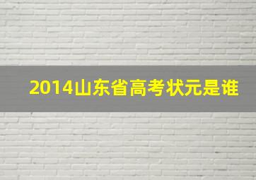 2014山东省高考状元是谁