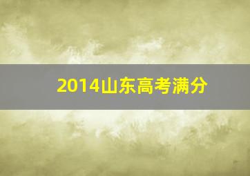 2014山东高考满分