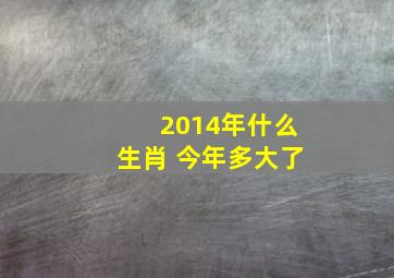 2014年什么生肖 今年多大了