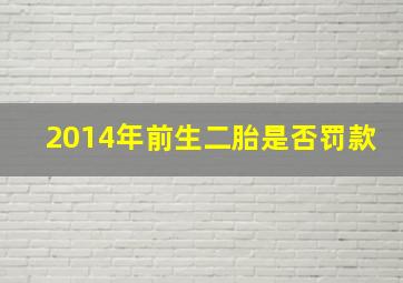 2014年前生二胎是否罚款