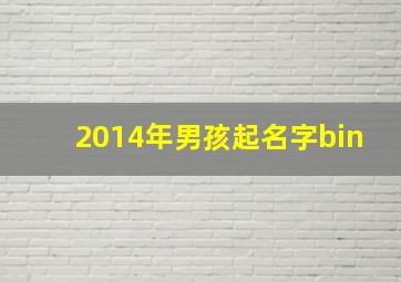 2014年男孩起名字bin