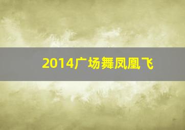 2014广场舞凤凰飞