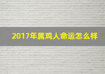 2017年属鸡人命运怎么样