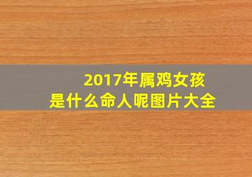 2017年属鸡女孩是什么命人呢图片大全