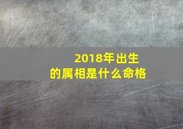 2018年出生的属相是什么命格