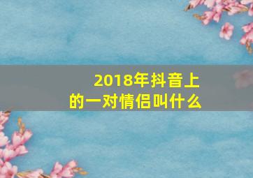 2018年抖音上的一对情侣叫什么