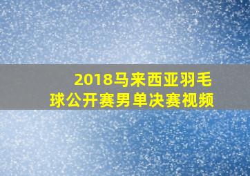 2018马来西亚羽毛球公开赛男单决赛视频