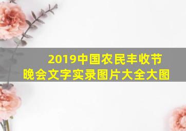 2019中国农民丰收节晚会文字实录图片大全大图