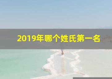 2019年哪个姓氏第一名