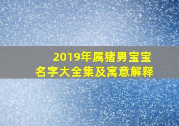 2019年属猪男宝宝名字大全集及寓意解释