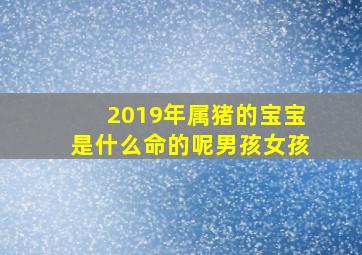 2019年属猪的宝宝是什么命的呢男孩女孩