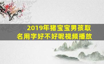 2019年猪宝宝男孩取名用字好不好呢视频播放