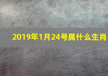 2019年1月24号属什么生肖