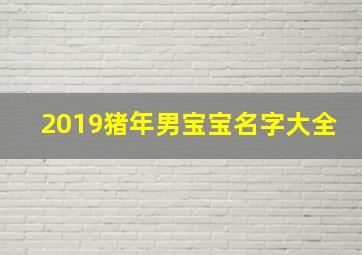 2019猪年男宝宝名字大全