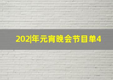 202|年元宵晚会节目单4