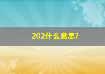 202什么意思?