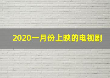 2020一月份上映的电视剧