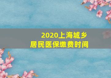 2020上海城乡居民医保缴费时间