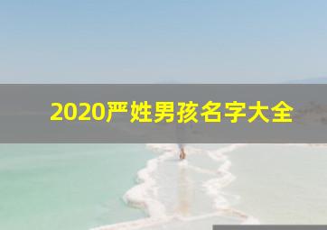 2020严姓男孩名字大全