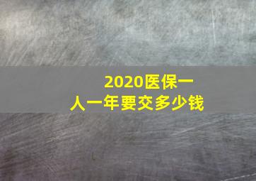 2020医保一人一年要交多少钱