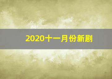 2020十一月份新剧