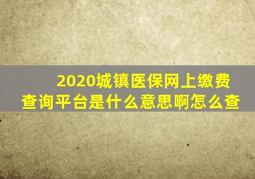 2020城镇医保网上缴费查询平台是什么意思啊怎么查